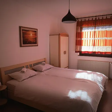 Dom wakacyjny Hisa Zicanka