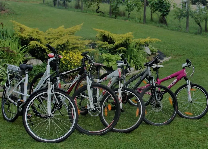 Holiday home Hisa Zicanka Loce pri Poljcanah