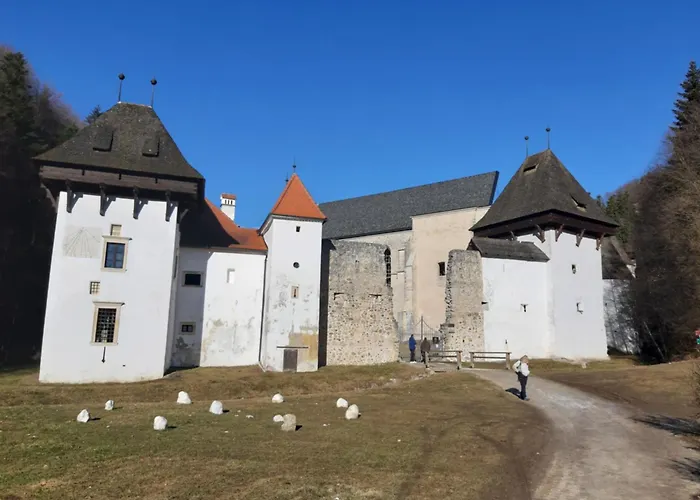 Holiday home Hisa Zicanka *